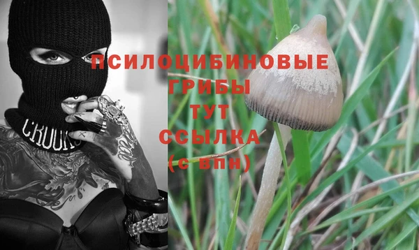 прущая мука Арсеньев